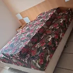 Diroma Fiori Diroma Star Temporada